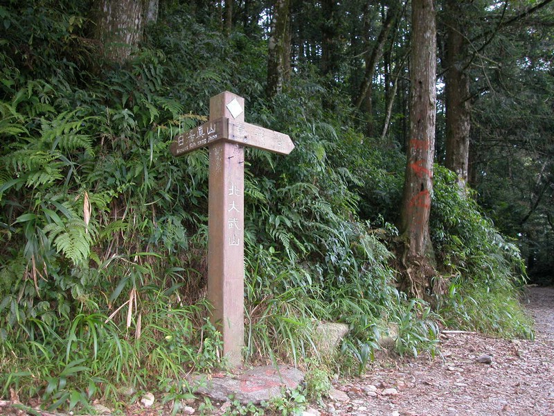 DSCN0017.JPG