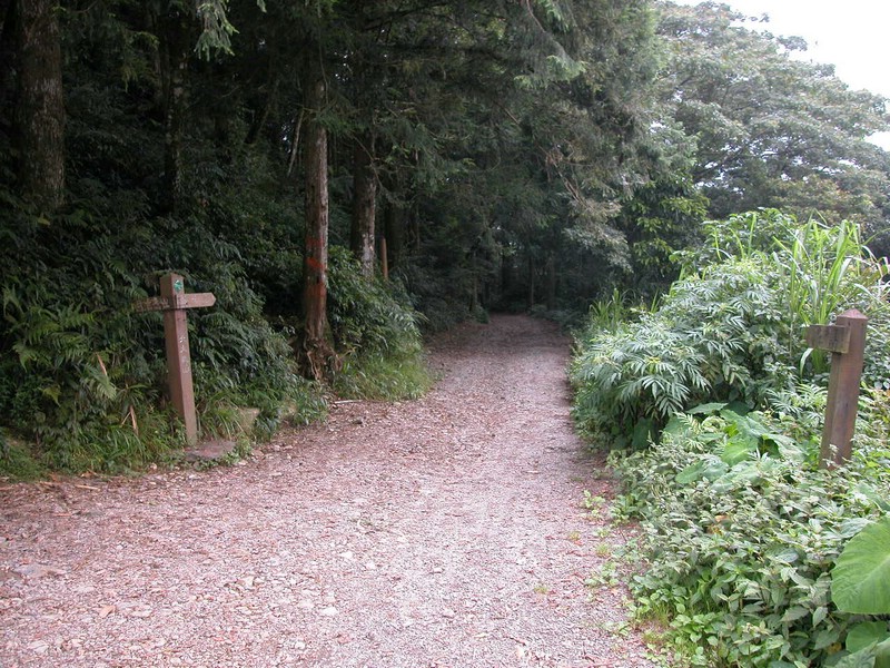 DSCN0018.JPG