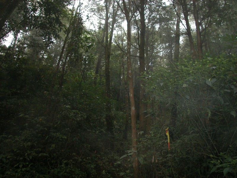 DSCN0023.JPG