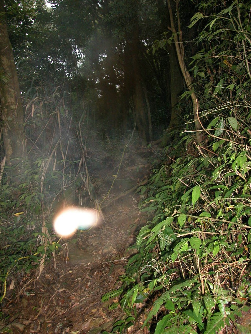 DSCN0026.JPG