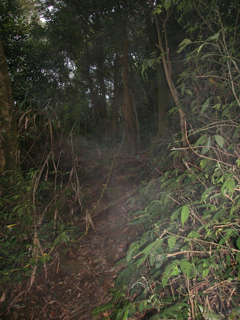 DSCN0027.JPG