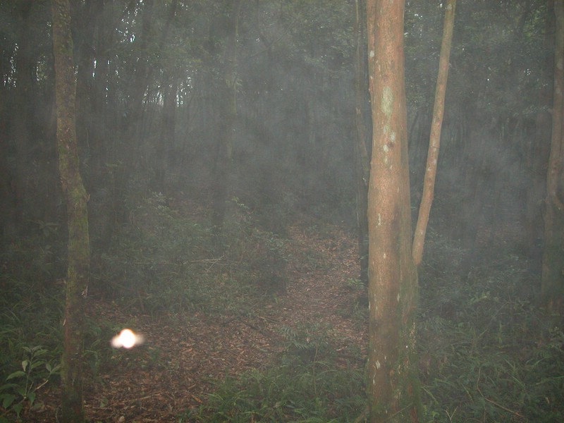 DSCN0028.JPG
