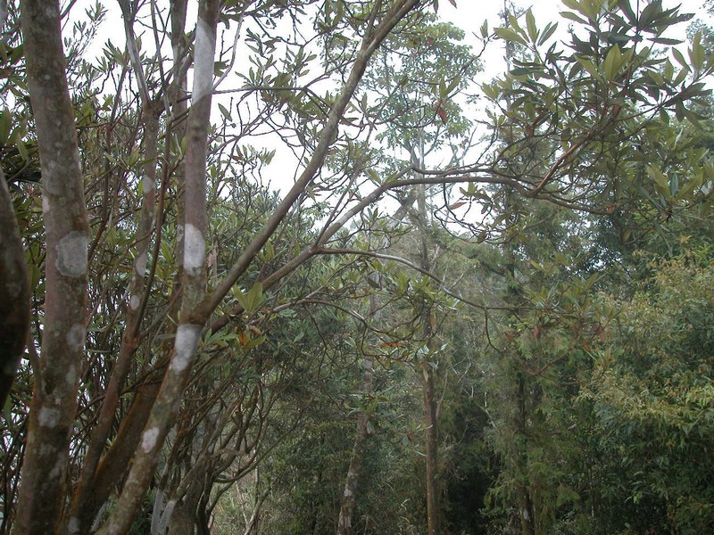 DSCN0029.JPG