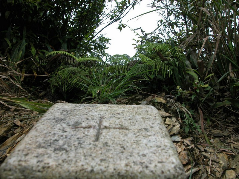 DSCN0037.JPG