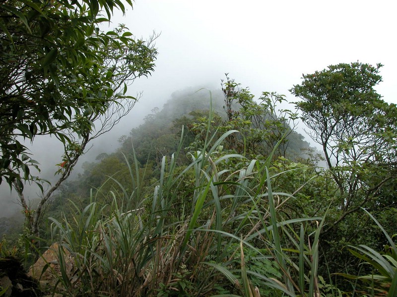 DSCN0040.JPG