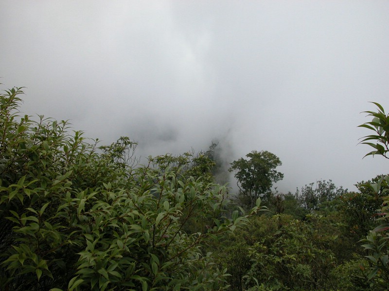 DSCN0041.JPG