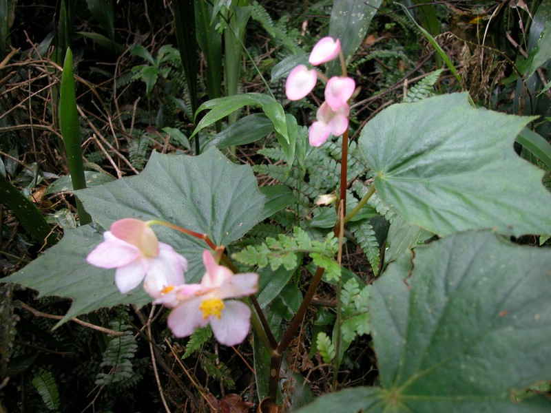 DSCN0047.JPG