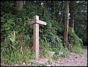 DSCN0017.JPG