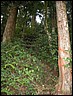 DSCN0019.JPG
