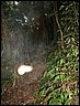 DSCN0026.JPG
