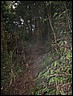 DSCN0027.JPG