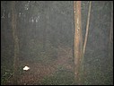 DSCN0028.JPG