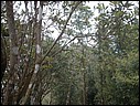 DSCN0029.JPG