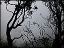 DSCN0030.JPG