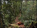 DSCN0032.JPG