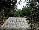 DSCN0037.JPG