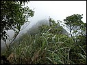 DSCN0040.JPG