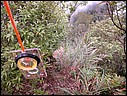 DSCN0043.JPG