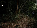 DSCN0045.JPG