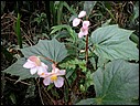 DSCN0047.JPG